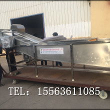  蒼山縣雙福蔬菜加工廠 主營(yíng) 保鮮牛蒡 腌制牛蒡