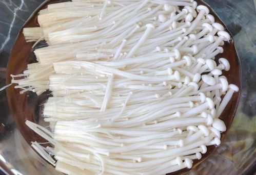 番茄配腌制鹽 營養(yǎng)翻倍的健康佳肴