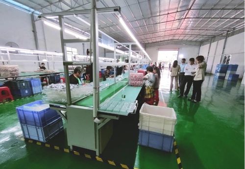 砥礪奮進啟新程，鄉(xiāng)村振興謀新篇——浛洸鎮(zhèn)張陂村玩具加工廠隆重開業(yè)